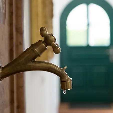 绍尔酒庄公寓 萨尔茨堡