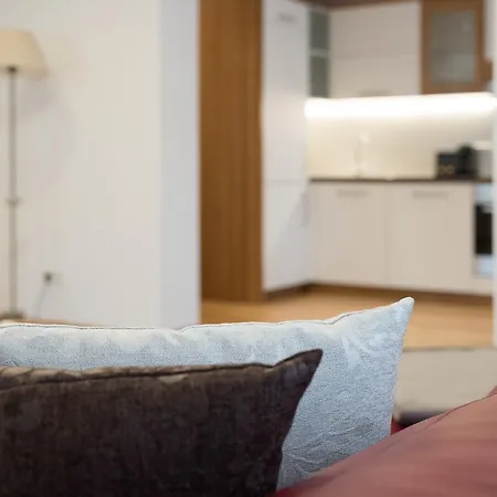 公寓 绍尔酒庄公寓 *