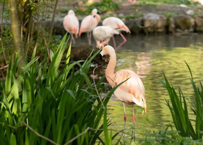 Sauerweingut *